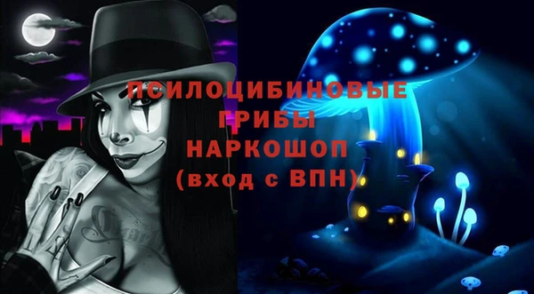 ПСИЛОЦИБИНОВЫЕ ГРИБЫ Горняк