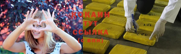 ПСИЛОЦИБИНОВЫЕ ГРИБЫ Горняк