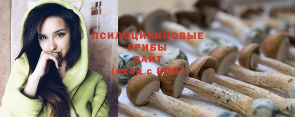 бошки Горнозаводск