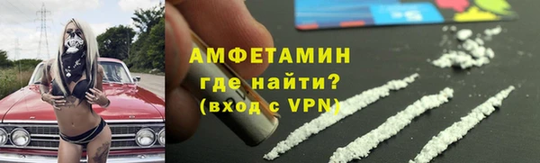 ПСИЛОЦИБИНОВЫЕ ГРИБЫ Горняк