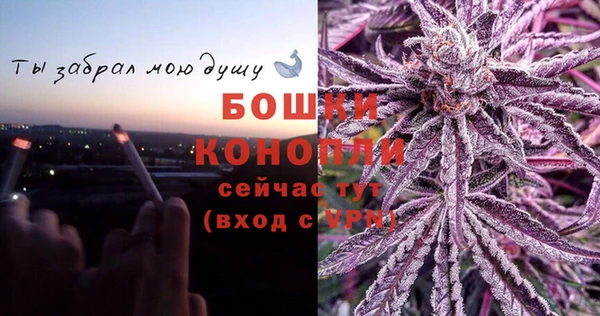 бошки Горнозаводск
