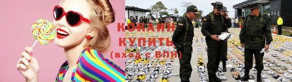 дурь Гусев