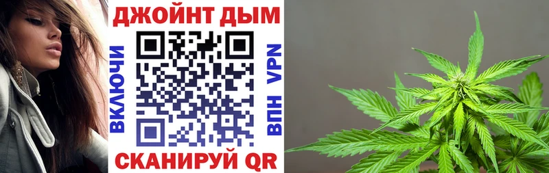 Каннабис индика  где купить   Звенигово 